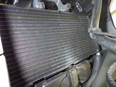 Honda X-Adv 750 2025