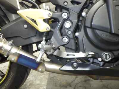 Kawasaki Ninja 250 2019