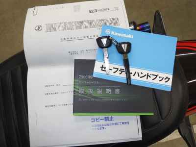 Kawasaki Z900RS 50th Anniversary 2022