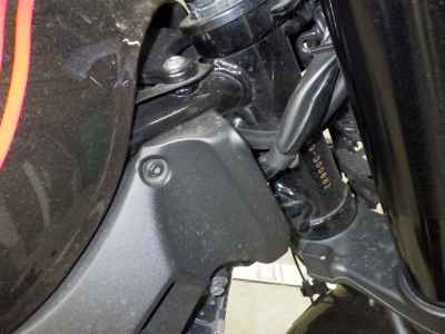 Kawasaki Z900RS 50th Anniversary 2022