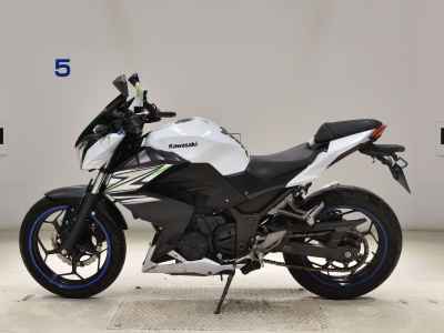 Kawasaki Z250 2014