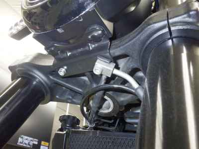 Benelli Leoncino 250 2022