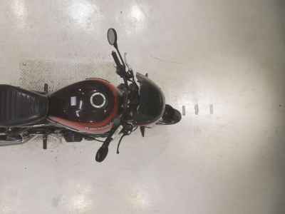 Kawasaki Z900RS 2019