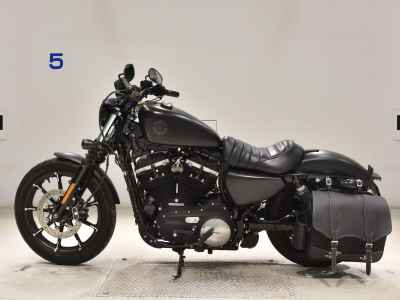 Harley-Davidson Sportster Iron XL883N 2019