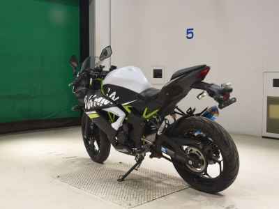 Kawasaki Ninja 250 2020