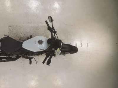 Honda Rebel CMX250 2023