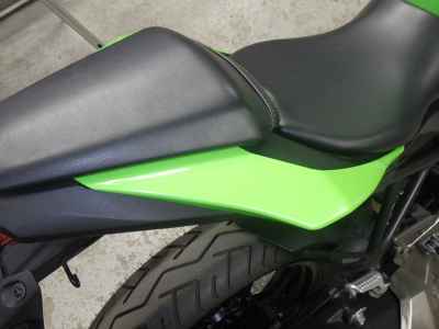 Kawasaki Ninja 250 2015