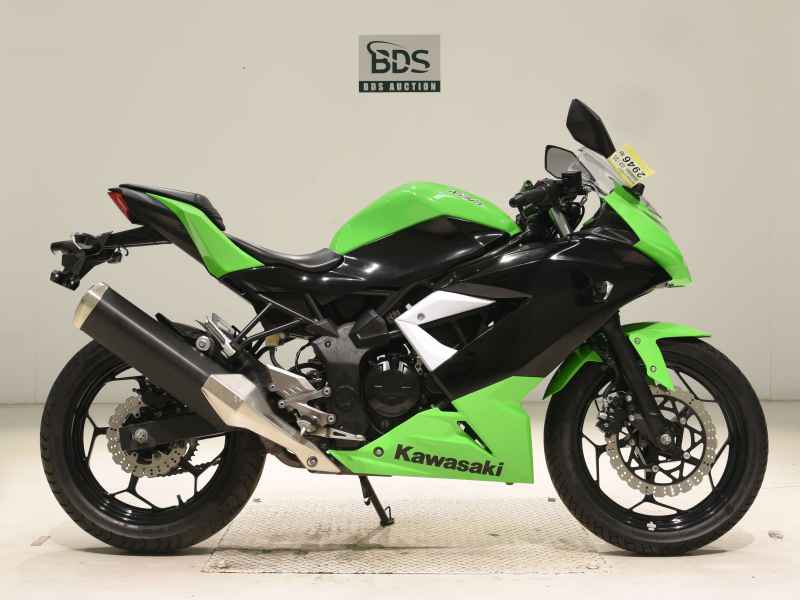 Kawasaki Ninja 250 2015