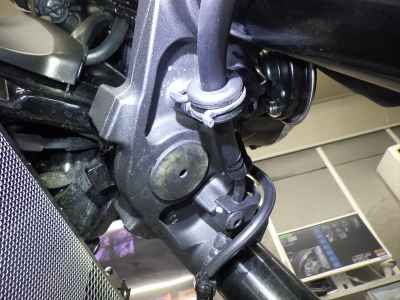 Kawasaki Z900RS 2024