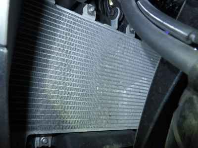 Kawasaki Ninja 250 2020