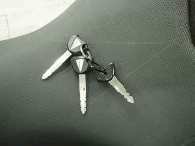 Kawasaki Ninja 250 2020