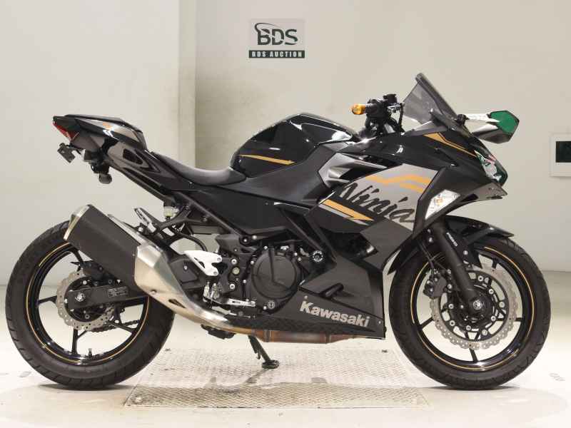 Kawasaki Ninja 250 2020