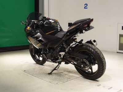 Kawasaki Ninja 250 2020