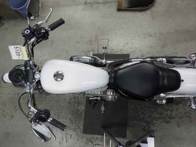 Harley-Davidson Sportster XL883L 2008