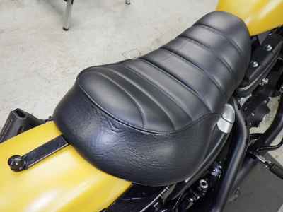 Harley-Davidson Sportster Iron XL883N 2019