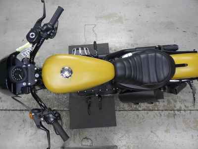 Harley-Davidson Sportster Iron XL883N 2019