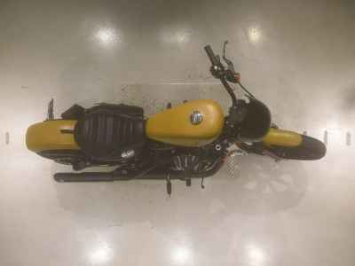 Harley-Davidson Sportster Iron XL883N 2019