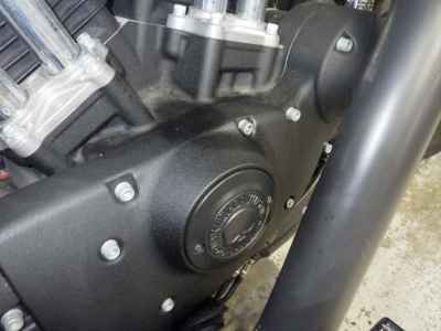 Harley-Davidson Sportster Iron XL883N 2019