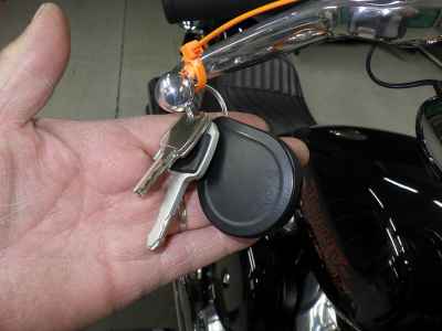 Harley-Davidson Softail FXST1750 2024