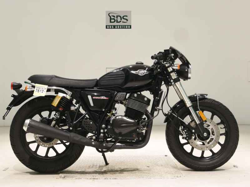 Kawasaki GPX Legend Twin 2020