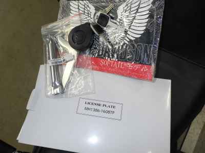 Harley-Davidson FXLRST1920 2025