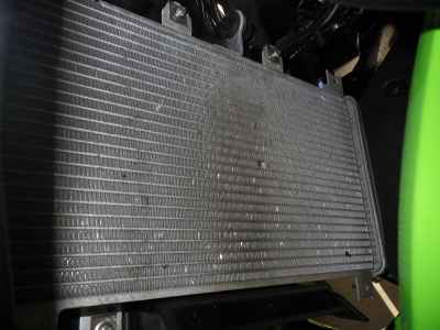 Kawasaki Ninja 250 2023