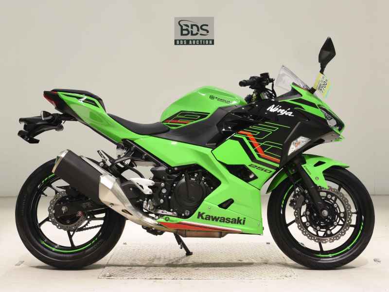 Kawasaki Ninja 250 2023