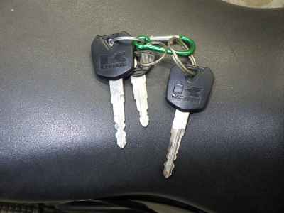 Kawasaki Ninja 250 2015