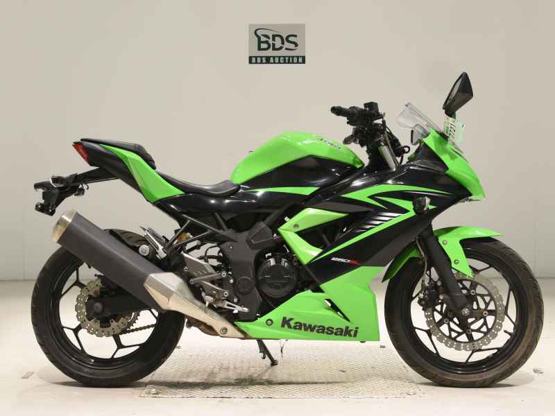 Kawasaki Ninja 250 2015