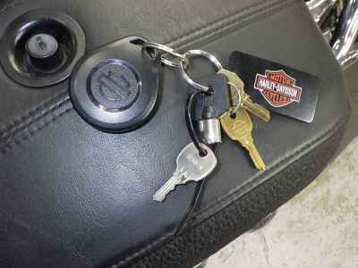 Harley-Davidson Deluxe FLSTN1580 2011