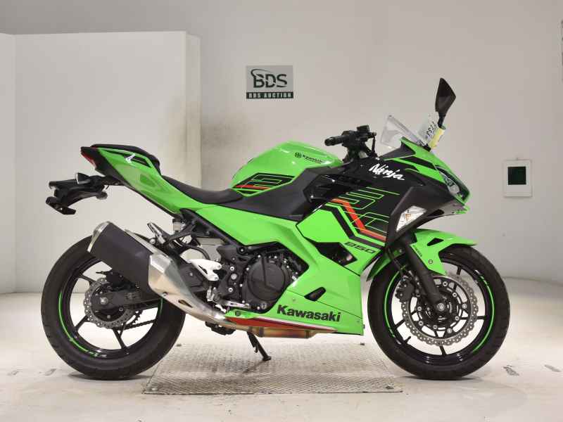 Kawasaki Ninja 250 2023