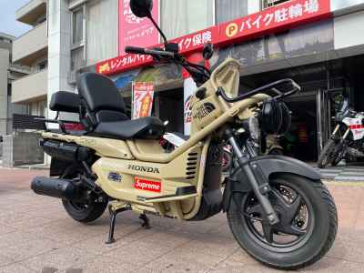 Honda PS250 Big Ruckus 2006