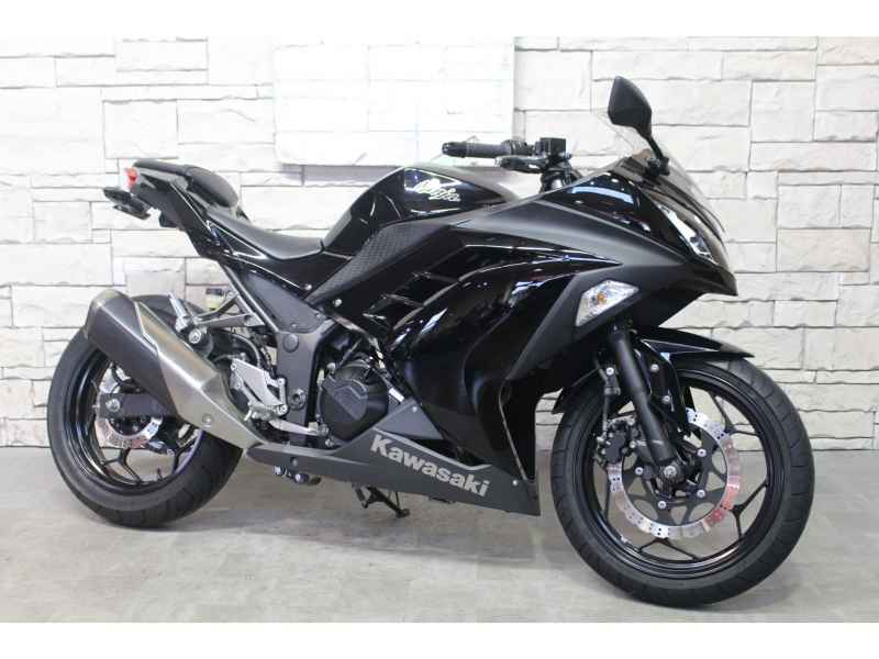 Kawasaki Ninja 250 2013