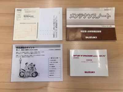 Suzuki V-Strom 250SX