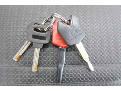 Kawasaki ZRX1200R 2006