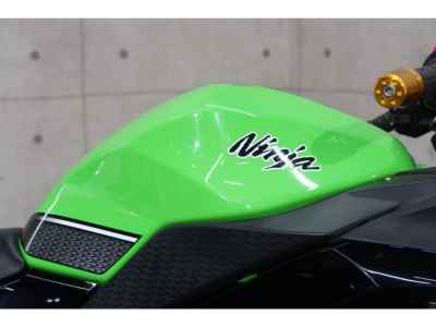 Kawasaki Ninja 250 2020