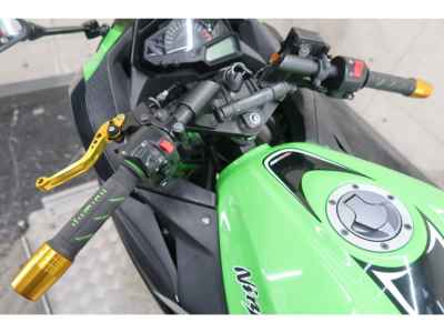 Kawasaki Ninja 250 2020