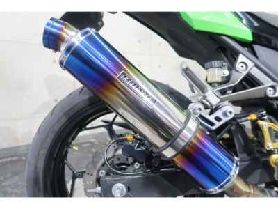 Kawasaki Ninja 250 2020