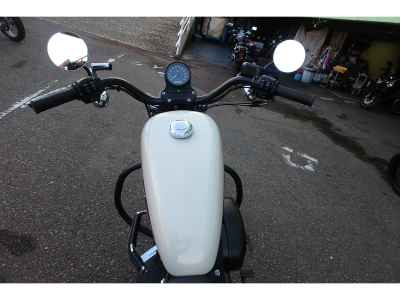 Harley-Davidson Sportster XL883R 2015