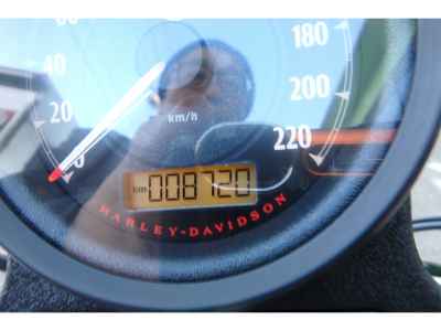 Harley-Davidson Sportster XL883R 2015