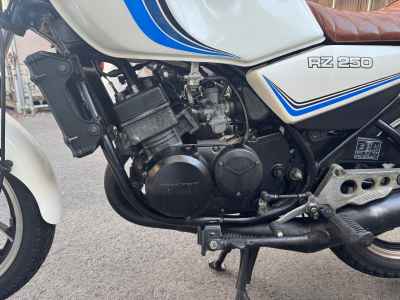 Yamaha RZ250