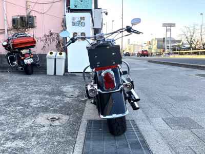 Harley-Davidson FLSTN1580 2010