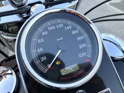 Harley-Davidson FLSTN1580 2010