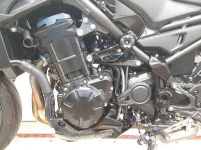 Kawasaki Z900 2025