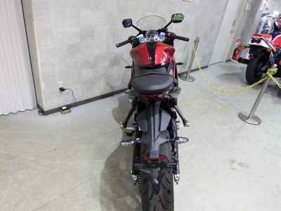 Triumph Daytona 660 2024