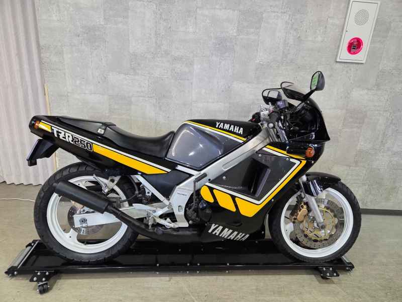 Yamaha TZR250