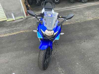 Suzuki GSX250R