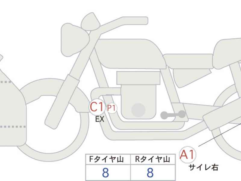 Kawasaki Ninja ZX-4RR 2024
