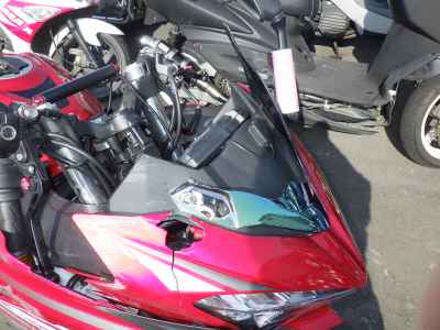 Kawasaki Ninja 250 2022