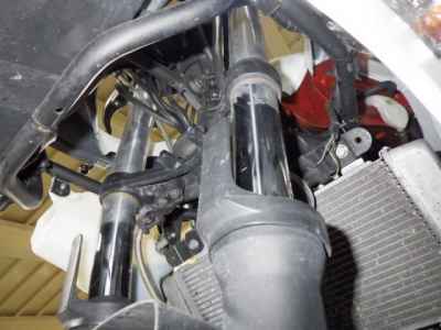 Kawasaki Ninja 250 2019